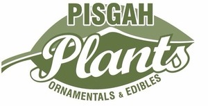 Pisgah Plants