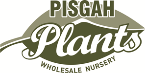 Pisgah Plants