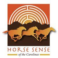 Horse Sense logo