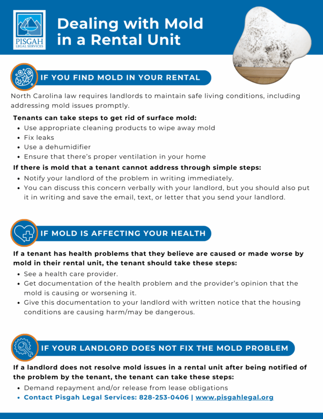 Dealing with mold in a rental unit flyer