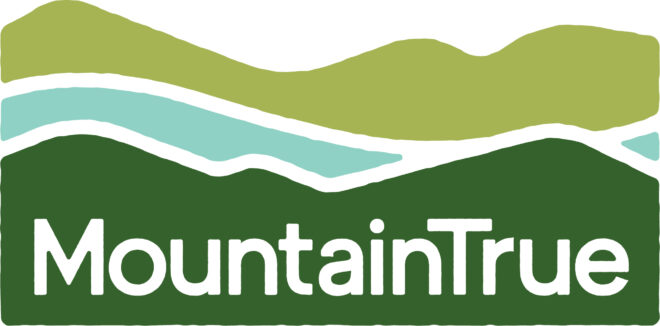 Mountain True Logo