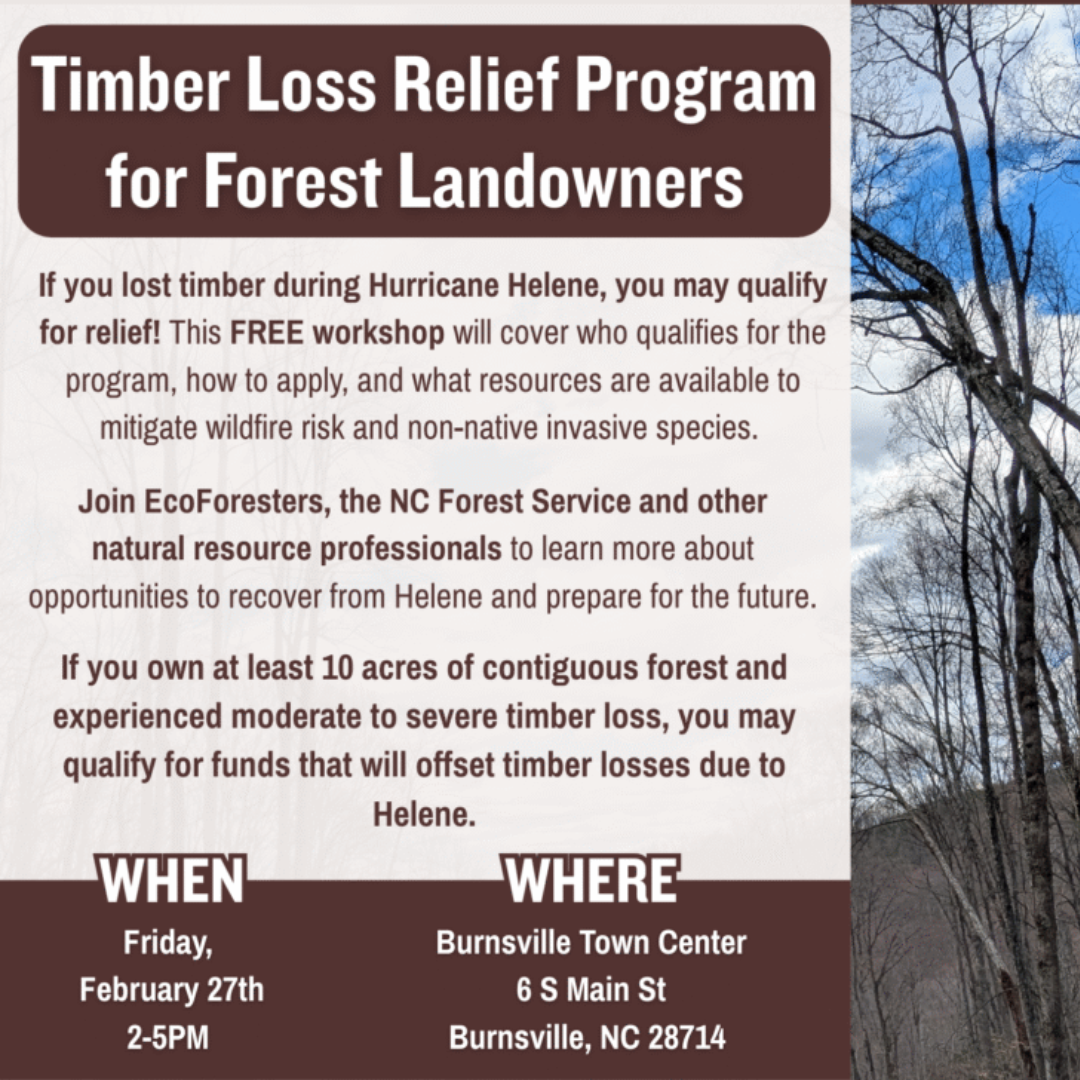 BURNSVILLE Timber Loss Relief Program for Forest Landowners