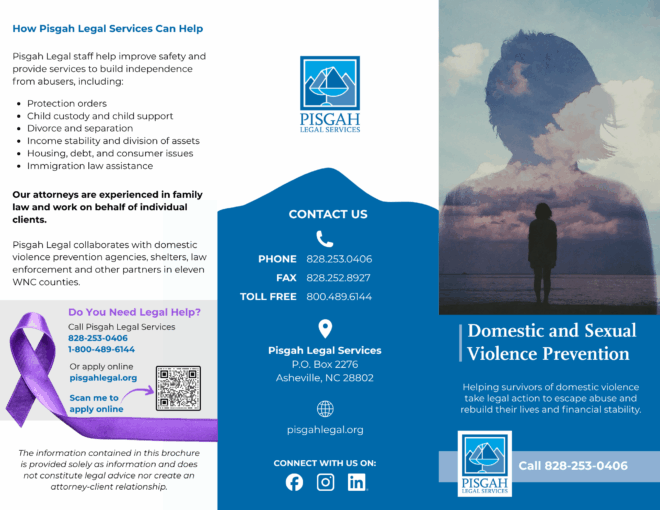 Domestic Violence Prevention Brochure