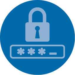 Password icon